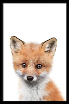 CUADRO BABY FOX