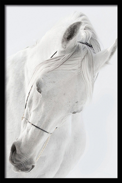 CUADRO HORSE WHITE 2