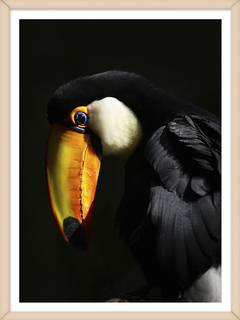 TUCAN 1