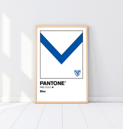 CUADRO PANTONE VELEZ