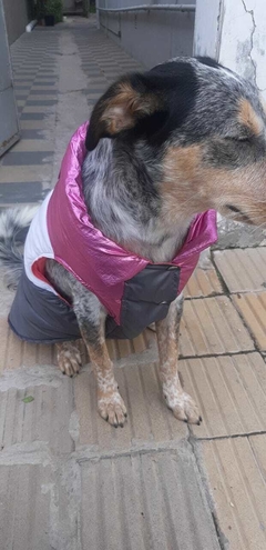 Chaleco impermeable EleCant "Robotina" - para perros - comprar online