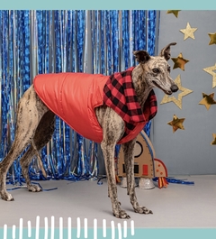 Chaleco impermeable EleCant "Laser" - para perros - comprar online