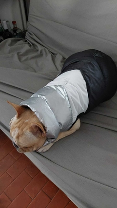 Chaleco impermeable EleCant "Rock"- para perros en internet