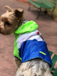 Piloto EleCant Amarillo - para perros