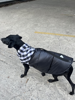 Chaleco impermeable EleCant "Binario" - para perros un - comprar online