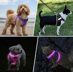 Pretal Led Recargable USB - perros chicos & gatos - tienda online