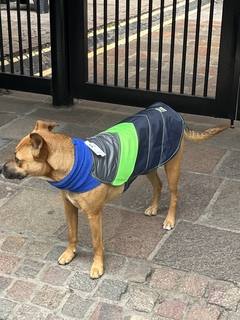 Capa impermeable EleCant "Bit" - para perros en internet