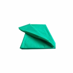 Tnt flanelado 50 gramas verde bandeira M.A.L. Santos