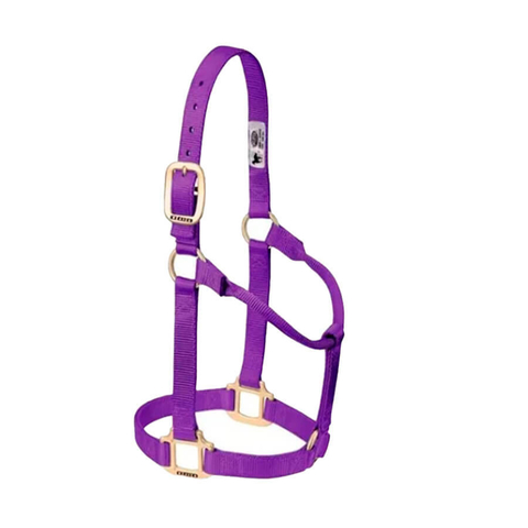 Cabresto com Missanga para Cavalo Nylon Roxo 7 nós c/ Cabo Boots