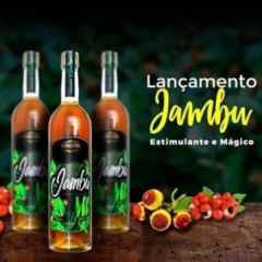 Bebida Mista Indiazinha Jambu – 750ml - comprar online