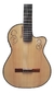 Guitarra Electroclasica La Alpujarra 300 INK400 Fishman - comprar online