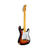 Guitarra Electrica Leonard Le Relic St Stratocaster - comprar online