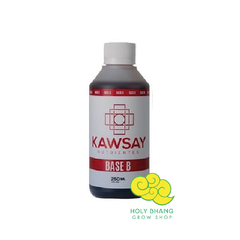 Fertilizante mineral Kawsay Base B 250ml