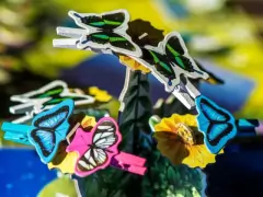 Papillon - LaMesaRectangular