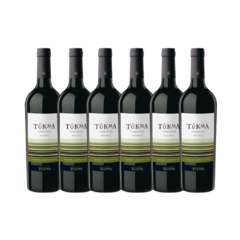 Tukma Torrontés Reserva - comprar online