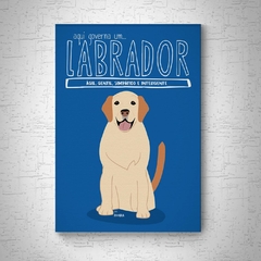 Quadro em mdf de Labrador