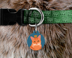 Plaquinha (Tag) de Identificação Gato Laranja - comprar online