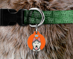 Plaquinha (Tag) de Identificação Husky Siberiano