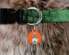 Plaquinha (Tag) de Identificação Husky Siberiano - comprar online