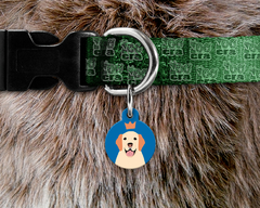 Plaquinha (Tag) de Identificação Labrador - comprar online