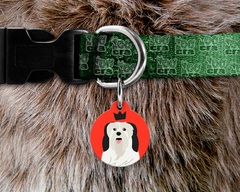 Plaquinha (Tag) de Identificação Lhasa Apso - comprar online