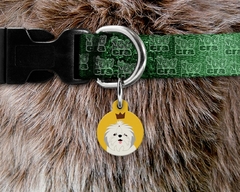 placa de identificação para cachorro shihtzu redonda P