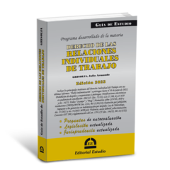 PROMO 170: Guía de Estudio de Laboral + Guía de Estudio Relaciones Individuales de Trabajo en internet