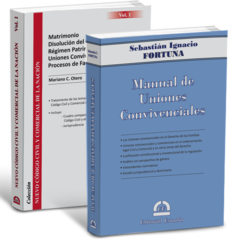 PROMO 180: Manual de Uniones Convivenciales + Nuevo Código Civil y Comercial (Familia - Volumen 1)