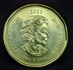 716 - Canadá 1 dólar, 2023 - Elsie MacGill, Colorida - comprar online