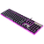 TECLADO REDRAGON DYAUS 2 en internet