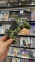 JOYSTICK PS4 DUALSHOCK 4 SONY ORIGINAL CAMUFLADO - SEMINUEVOS - comprar online