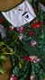 Blusa Marca Quintess em Poliamida com Tule - loja online