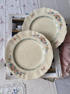 Set x 2 platos de entrada 20cm con manchas Meakin England - comprar online