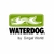LINTERNA MINERO WATERDOG RECARGABLE WOL9002 - comprar online