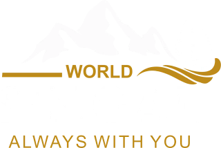 Singal World