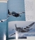 Osprey Classic Aircraft Thunderbolt and Lightning P-47 and P-38 The Jug and the Fork-Tailed Devil of the USAAF CN - tienda online
