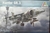 Italeri 1/72 1401 Harrier Gr.3 Guerra de Malvinas