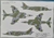 Italeri 1/72 1401 Harrier Gr.3 Guerra de Malvinas - comprar online