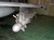 Hangar 56 1/48 48612 Matra Magic R-550(2) + Lanzadores inclinados (2) en internet