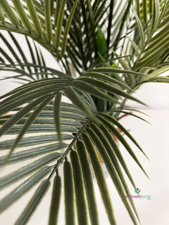 Palmera Areca 135cm - comprar online