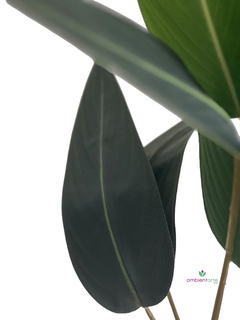 Planta Sterlizia o Flor de Pajaro 90 cm con maceta en internet