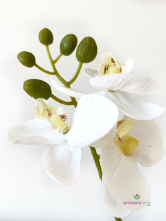 Maceta con orquidea 10x30 cm - comprar online