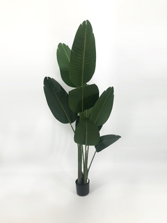 Planta de Banano- Nicolai de 160 cm - ambientartedeco