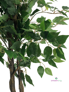 Arbol de Ficus de 120 cm - comprar online