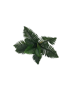 Planta Palmera 40 cm - comprar online