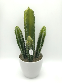 Maceta con Cactus 20x38 - comprar online