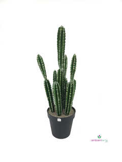 Maceta con Cactus 30x80 cm