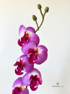 Imagen de Maceta con orquidea 45 cm