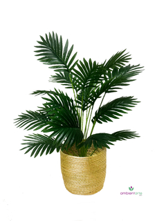 Planta Planta Palmera- Arecai 60 Cm
