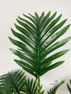 Planta Palmera- Areca 60 Cm - - comprar online